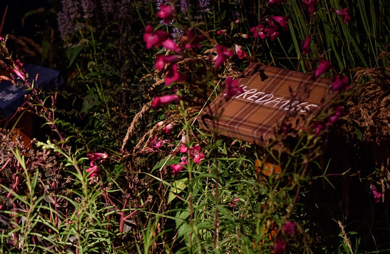 Pink flowers and grasses in a garden around a tartan fabric panel bearing the text "REDA 1865"