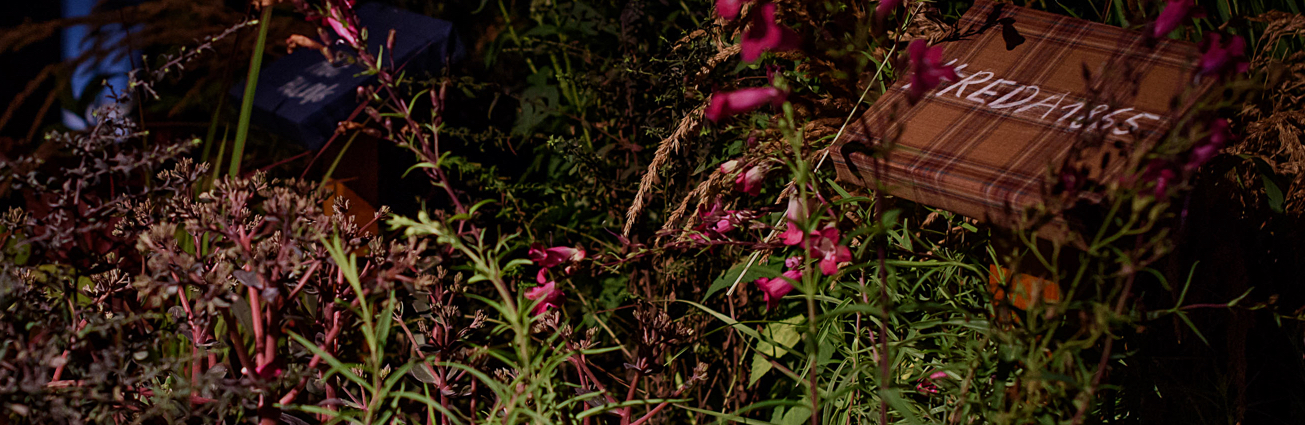 Pink flowers and wild grasses in the dark, with a plaid wool fabric panel reading "REDA1865"