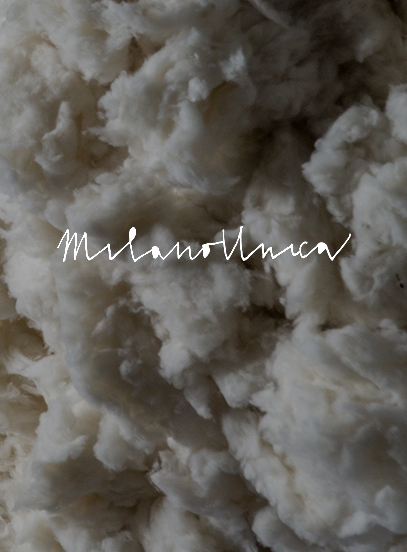 Close-up of fluffy white raw fibers with the handwritten text “Milano Unica” across the center