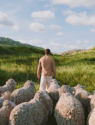 Man in beige jacket and light trousers seen from behind, facing a flock of sheep on a green hillside