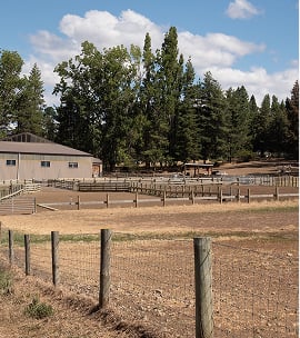 Wire and wooden post fence in front of a farm building and paddocks, with tall trees in the background