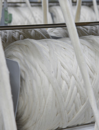 Large white bobbins of wool roving on a textile machine in a spinning mill